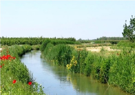 Agriculture and irrigation in the middle ages